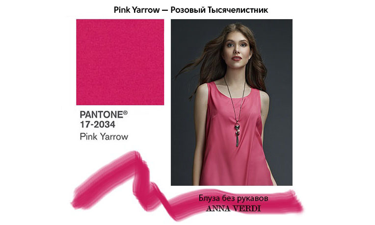 Pink Yarrow — Розовый Тысячелистник2.jpg